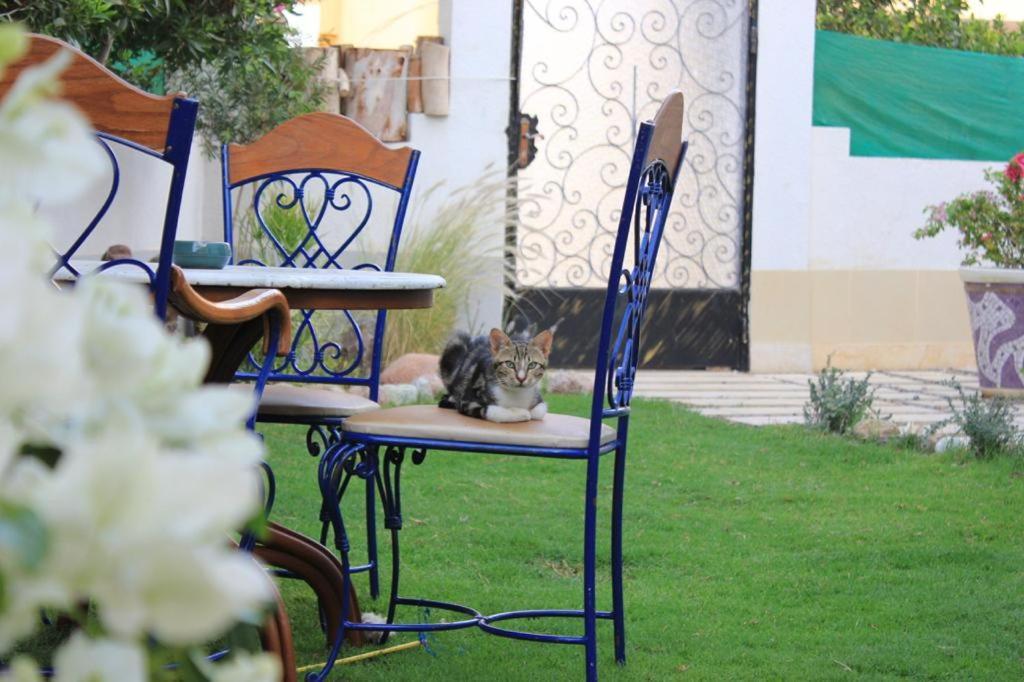 Villa D60 Шарм ел-Шейх Екстериор снимка
